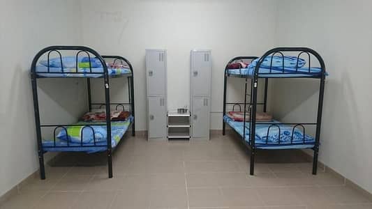 阿尔科兹， 迪拜 员工宿舍待租 - 位于阿尔科兹 的员工宿舍 21600 AED - 7802201
