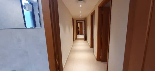 3 Cпальни Апартамент в аренду в Мадинат Заид, Абу-Даби - Квартира в Мадинат Заид, 3 cпальни, 80000 AED - 7762548