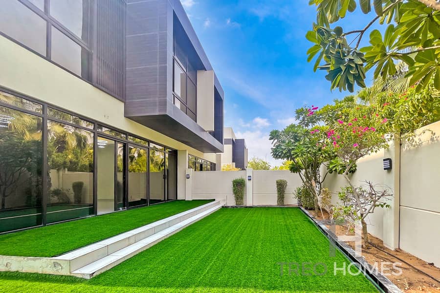 Rare THLA | Large Plot | Available Jan Rare THLA | Large Plot | Available Jan