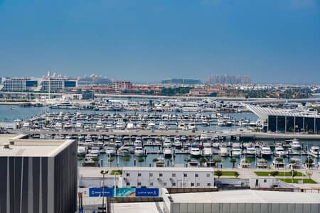 迪拜码头， 迪拜 1 卧室单位待租 - 位于迪拜码头，达马克塔楼 1 卧室的公寓 8999 AED - 6982561