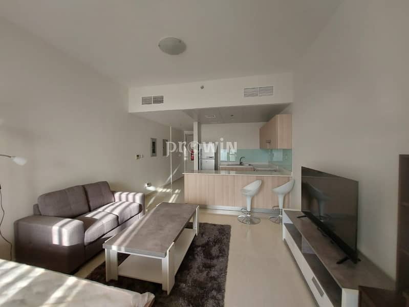 14 Fully Furnished Brand  New Studio Apt  With Great Amenities !!!