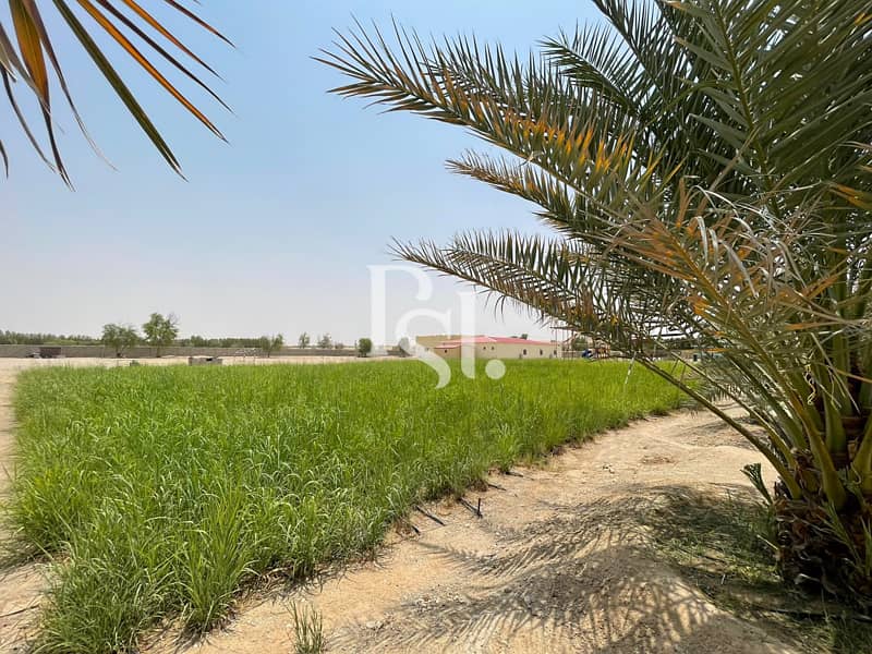 Exclusive Farm |Big Majlis |Pool Warm+Cold  |75Palms