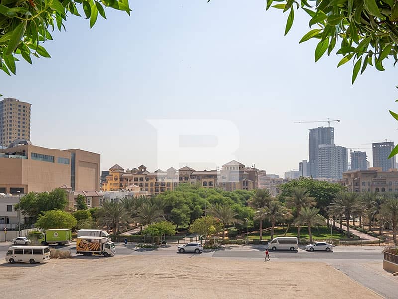 19 watermark (18). jpg