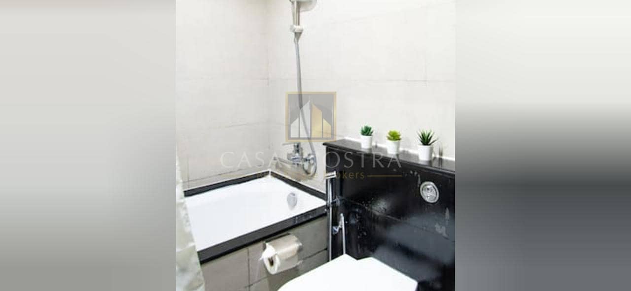 15 Well Maintained High End Fully Furnished 1BR