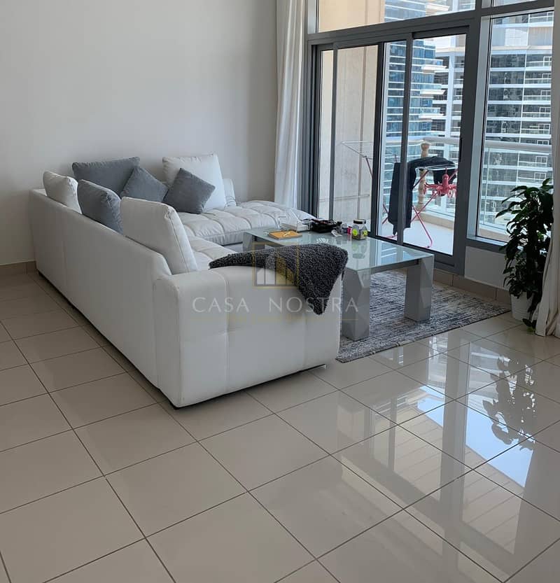 3 Higher Floor Furnished Large 1BR Marina View