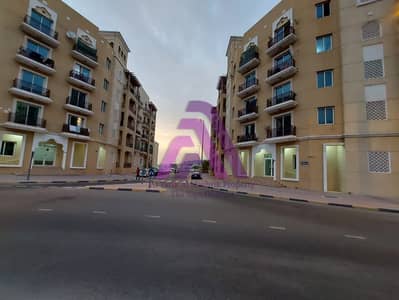 Studio for Rent in International City, Dubai - STUDIO FOR RENT IN FULLY FAMILY BUILDING, Emirates Cluster