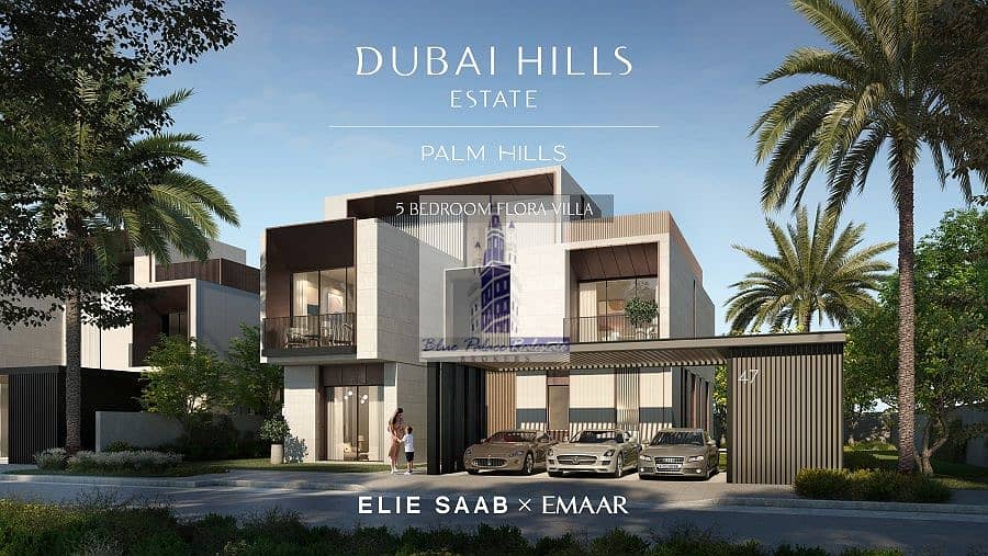 3 DHE_PALM_HILLS_3. jpg
