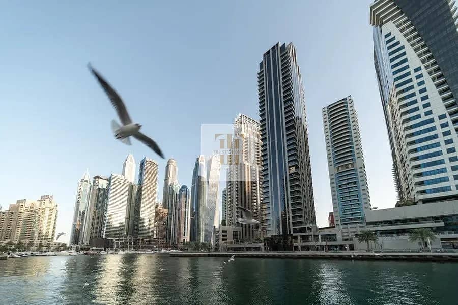 ezgif. com-webp-to-jpg-2-1. jpg ezgif. com-webp-to-jpg-2-1. jpg