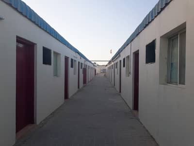 سكن عمال في السجع 44 غرف 450000 درهم - 2167036 سكن عمال في السجع 44 غرف 450000 درهم - 2167036