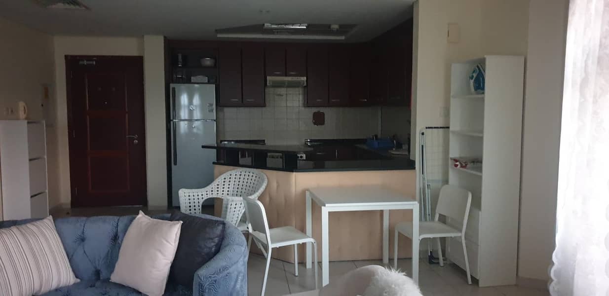 8 1 BR Fully Furnished Apartment