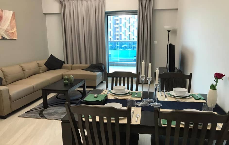2 Brand New Upgraded Fully Furnished 1BR With Lake View