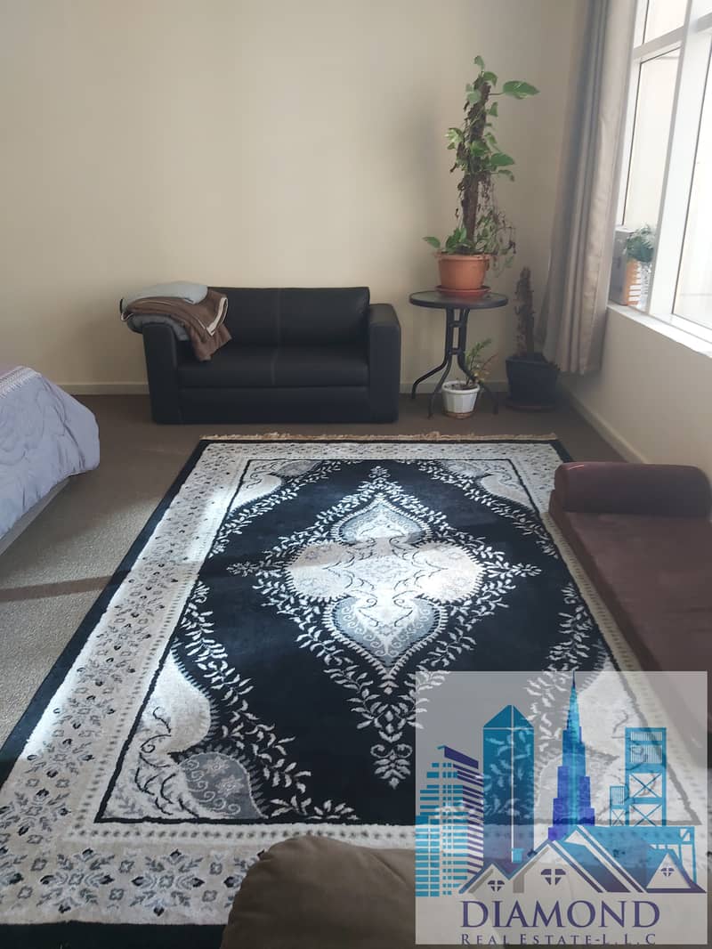 Monthly Fully furnished 1bhk for rent in Horizon Tower