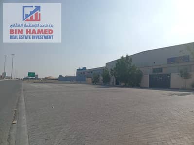 Warehouse for Sale in Emirates Modern Industrial Area, Umm Al Quwain - WhatsApp Image 2023-12-13 at 01.31. 50_1089a4f1. jpg