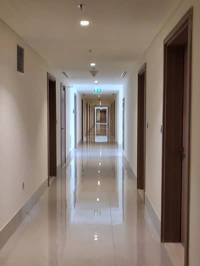 梅丹城， 迪拜 单身公寓待租 - IMG-20231213-WA0029. jpg