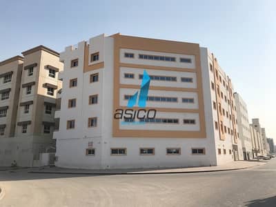 Large Bright Airy Rooms for Lease in Labor Camp Large Bright Airy Rooms for Lease in Labor Camp