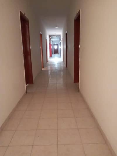 Labour Camp for Rent in Al Jurf, Ajman - 45 big size labor rooms with 8 persons capacity available for rent