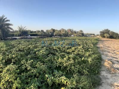 Mixed Use Land for Sale in Al Samha, Abu Dhabi - WhatsApp Image 2023-12-28 at 9.17. 15 AM. jpeg