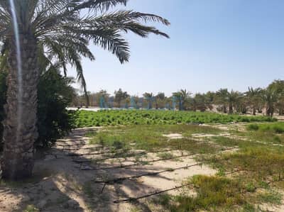 Mixed Use Land for Sale in Al Samha, Abu Dhabi - WhatsApp Image 2023-12-28 at 9.17. 47 AM (1). jpeg