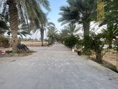 Mixed Use Land for Sale in Al Ajban, Al Ain - WhatsApp Image 2023-11-04 at 11.35. 07_f1d93f7d. jpg