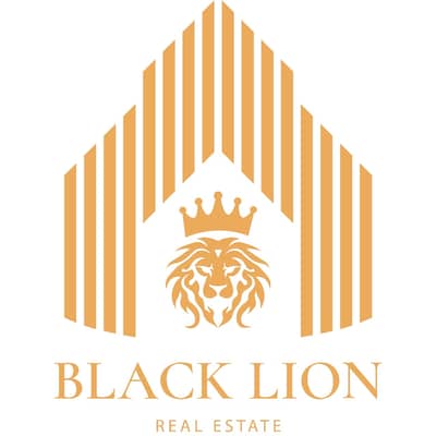 Black Lion Real Estate