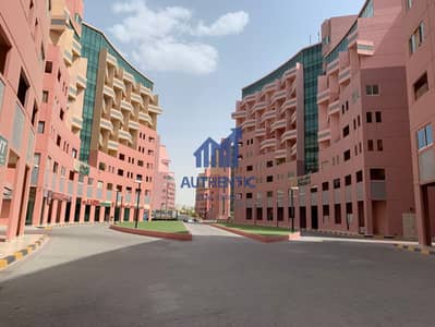1 Bedroom Flat for Rent in The Gardens, Dubai - ONE Bedroom in Pink Building The Gardens Apartment I Maintenance Free
