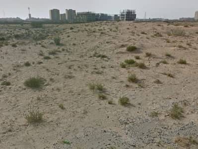 ارض سكنية  للبيع في النخيل، عجمان - 1e0ccbc6-9aa1-4a25-8181-3a00a76b1d4c. jpeg