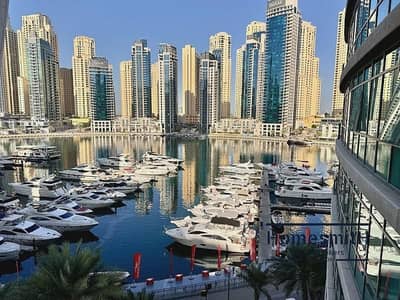 迪拜码头， 迪拜 1 卧室公寓待租 - 位于迪拜码头，阿尔马贾拉街区，阿尔马贾拉2号楼 1 卧室的公寓 110000 AED - 8278066