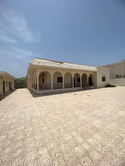 ارض سكنية  للبيع في مشيرف، عجمان - بيت قديم وارض للبيع في مشيرف مساحة 18000 قدم  زاوية على شارعين
