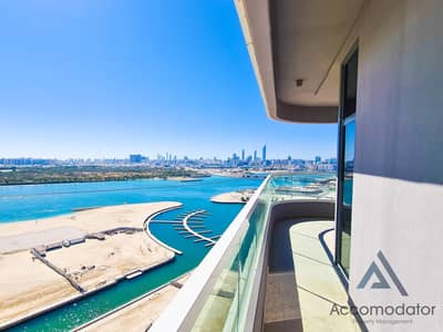 2 Bedroom Apartment for Rent in Al Reem Island, Abu Dhabi - d04dc724-ccec-453b-b3fe-e600da0396fe. jpg