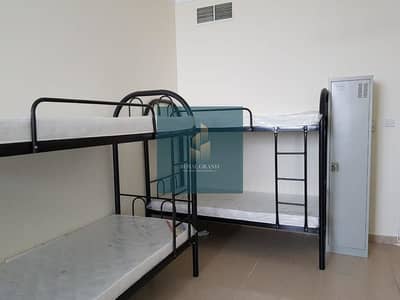 Labour Camp for Rent in Mussafah, Abu Dhabi - LABOR CAMP AT MUNICIPALITY APPROVAL
