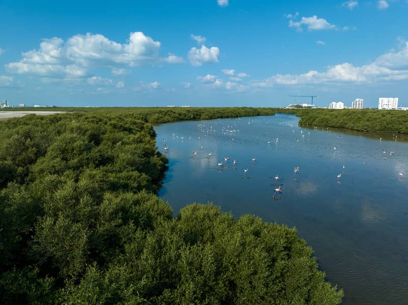 12 DJI_0003. jpg