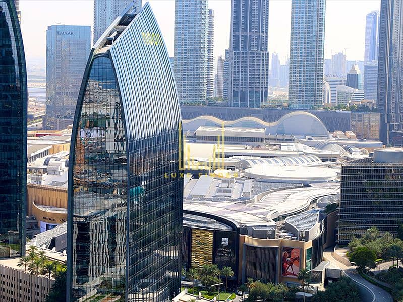3 Dubai Mall View. png. png