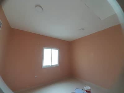 11 Bedroom Building for Sale in Al Nuaimiya, Ajman - 85a3551b-092a-4efc-bffe-2cff1af6889f. jpg