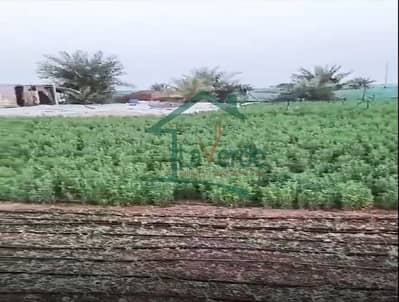 Mixed Use Land for Sale in Sweihan, Al Ain - Screenshot 2024-01-12 162410. jpeg
