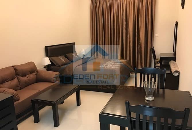 Amazing Fully Furnished Studio Elite 10 Amazing Fully Furnished Studio Elite 10