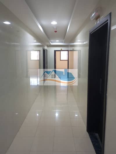 فلیٹ 2 غرفة نوم للايجار في الجرف، عجمان - WhatsApp Image 2024-01-21 at 5.29. 41 AM (2). jpeg