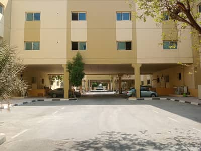 Labour Camp for Rent in Al Quoz, Dubai - Labour camp, Labour Accommodation, Staff Accommodation, Room for Rent
