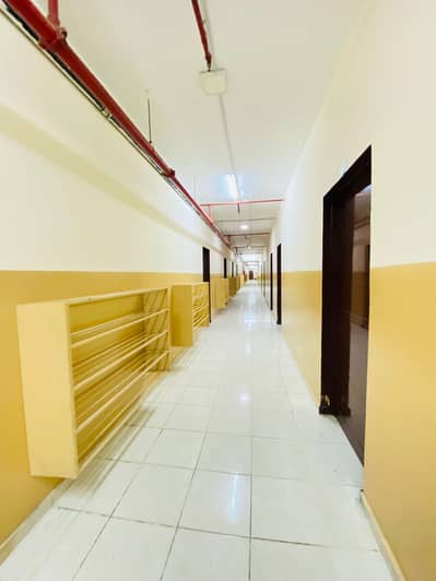 Labour Camp for Rent in Mussafah, Abu Dhabi - CORIDOR