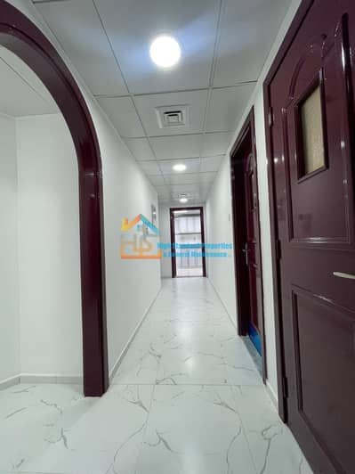 2 Bedroom Flat for Rent in Al Khalidiyah, Abu Dhabi - WhatsApp Image 2024-02-05 at 10.22. 50 AM. jpeg