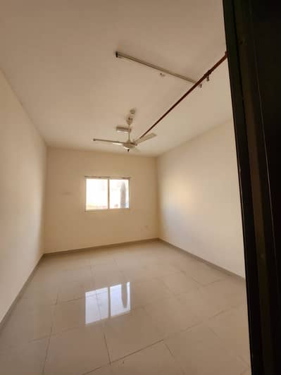 Labour Camp for Rent in Ajman Industrial, Ajman - WhatsApp Image 2024-01-29 at 5.29. 18 PM (1). jpeg