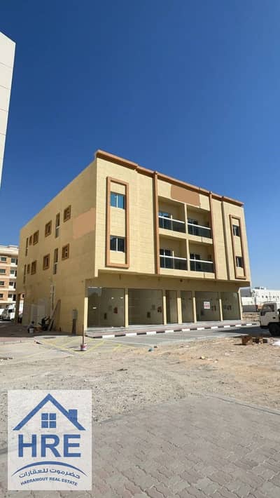 Studio for Rent in Al Jurf, Ajman - WhatsApp Image 2024-02-07 at 10.53. 06. jpeg