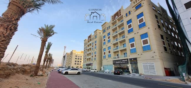 2 Bedroom Apartment for Rent in Al Ameera Village, Ajman - WhatsApp Image 2024-01-20 at 5.37. 11 PM. jpeg