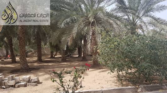 For Sale Farm Al Falah -Sharjah For Sale Farm Al Falah -Sharjah