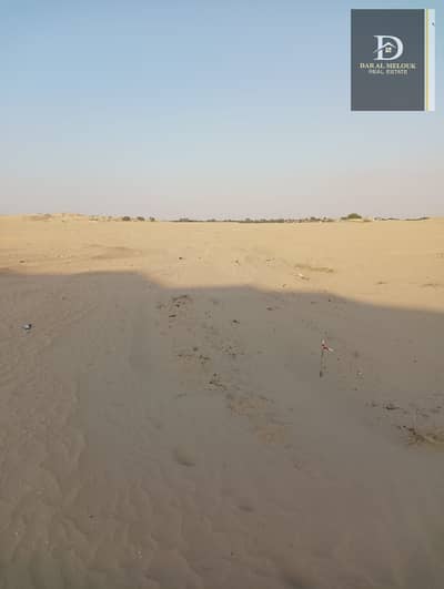Plot for Sale in Hoshi, Sharjah - WhatsApp Image 2024-01-07 at 7.02. 08 AM. jpeg