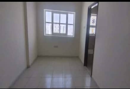 Modern 1BHK Apartment for Rent