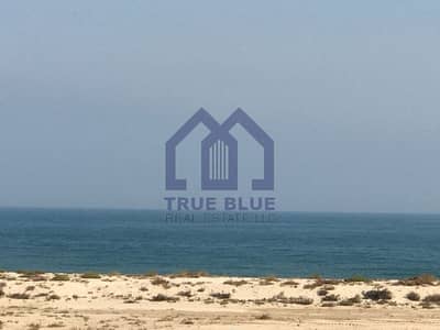 Full Sea View | Brand New | 2 BHK + Maids Room | Bermuda Full Sea View | Brand New | 2 BHK + Maids Room | Bermuda