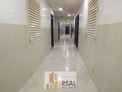 Studio for Rent in Muwailih Commercial, Sharjah - IMG_20240127_105444. jpg