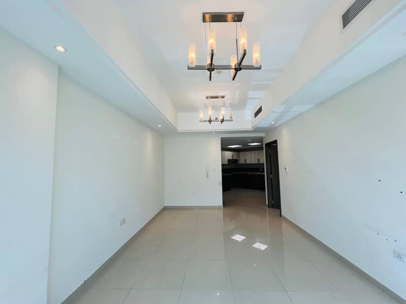Hot Offer / Most luxurious one bedroom for rent /  Near Choithram Mart.