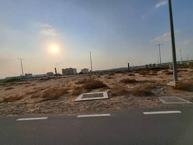 Plot for Sale in Tilal City, Sharjah - WhatsApp Image 2024-02-24 at 22.06. 44. jpeg