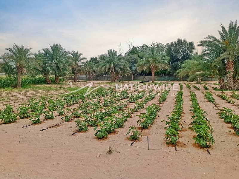 Prime Area| Huge Agricultural Farm| Invest Now